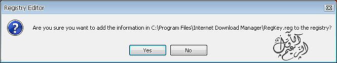 Internet Download Manager V6.11 Build 1.jpg